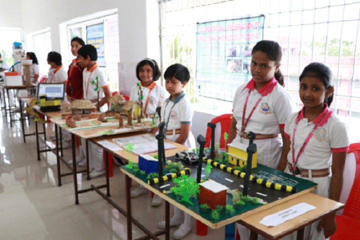 Dav Public School-Exhibition
