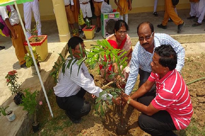 Maharishi Vidya Mandir-Tree-Plantation
