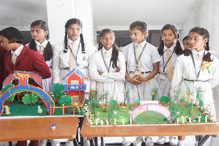 G S Residential School-Science Exhibition