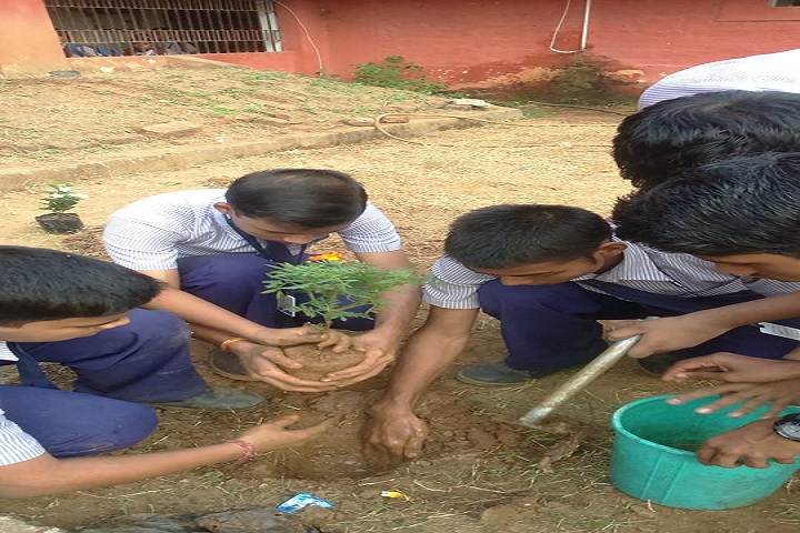 Santanu English Medium School-Plantation
