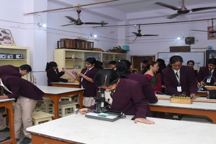 St Xaviers High School-Bio Labs