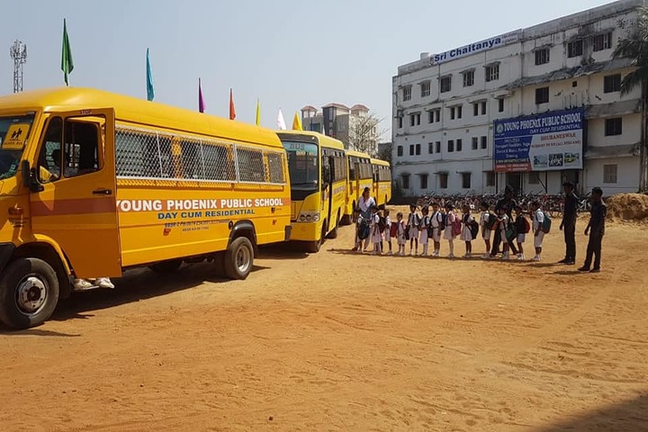Young Phoenix Public School-Transport