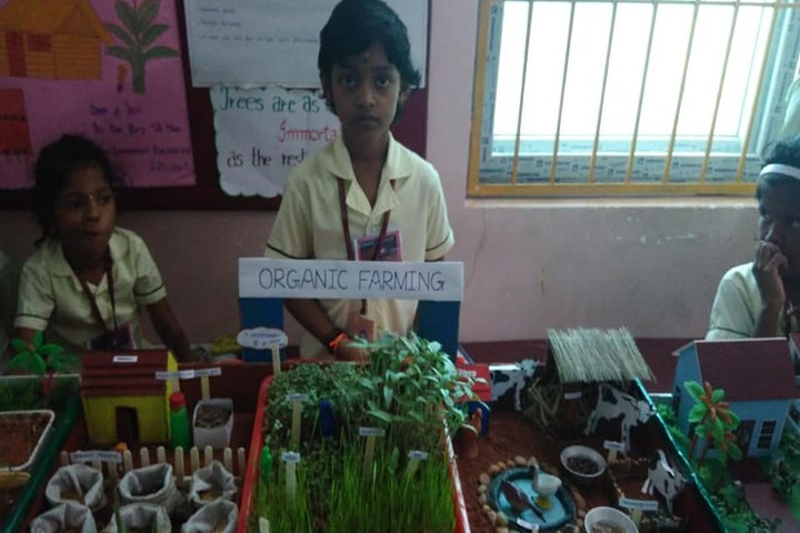 Aditya Vidyashram-Science Exhibition