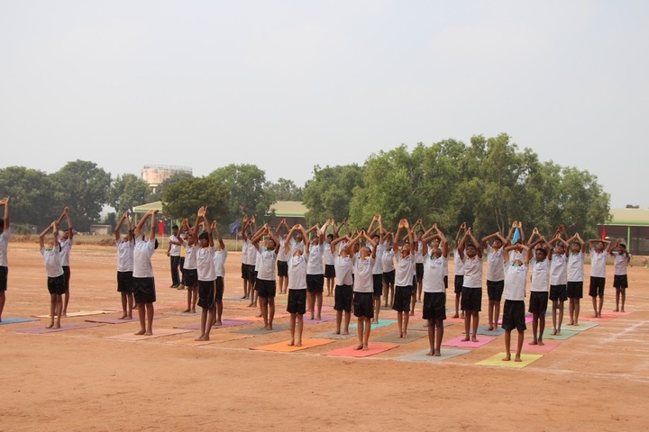 The Study School-International Yoga Day