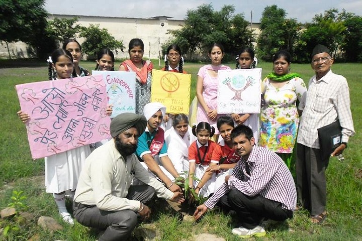 ADHARSHILA THE FOUNDATION-tree plantation