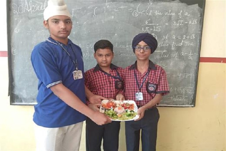 ajit karam singh international public school-salad