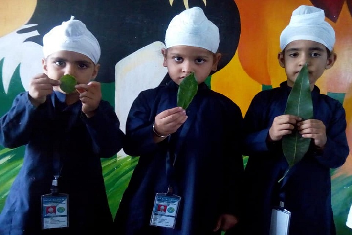 Akal Academy-Cultural Day