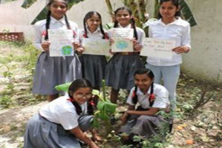 Army Public School-Plantation