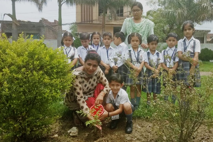 BSMSD Rajput Public School-Plantation