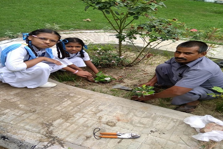 Baba Gandha Singh Public School-Others plantation