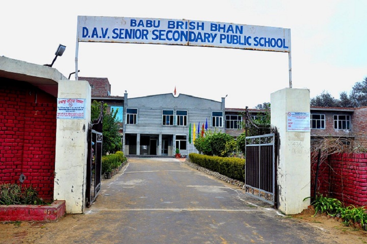 Babu Brish Bhan DAV Public School-View Entrance