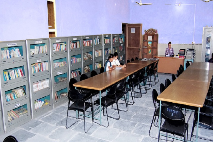 Babu Brish Bhan DAV Public School-Library