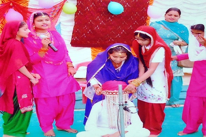 Bhai Daan Singh Akal Academy-Events function