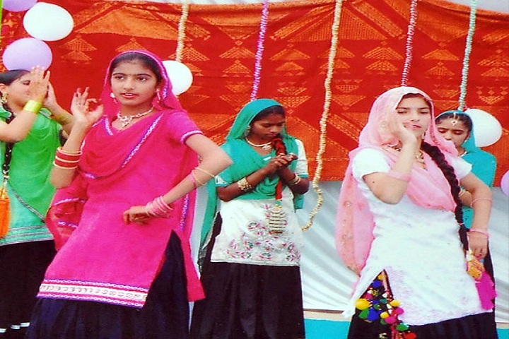 Bhai Daan Singh Akal Academy-Events programme