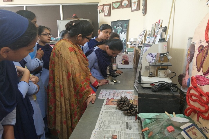 Bhai Nand Lal Public School-Laboratory biology