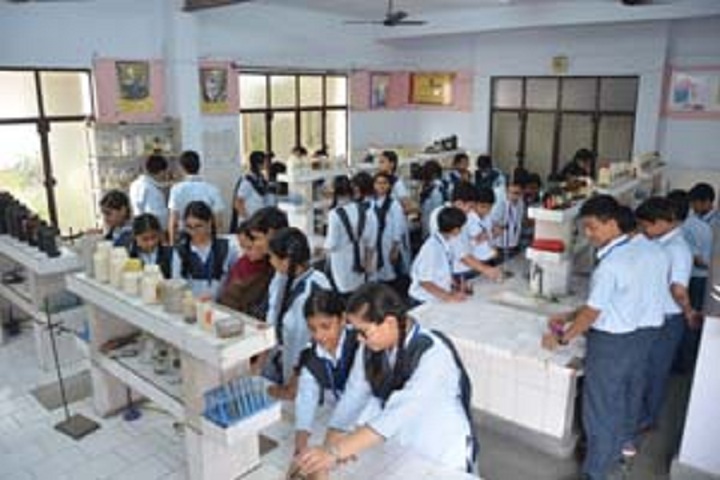 Bhartiya Vidya Bhawan Sachan Lal Public School-Laboratory chemistry