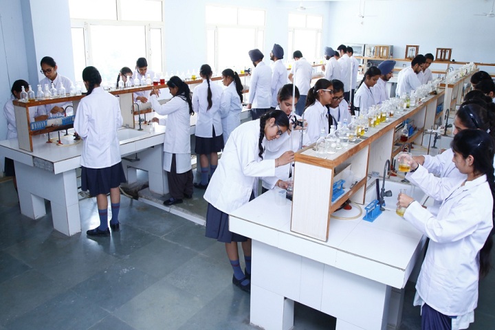 Bhupendra International Public School-Laboratory chemistry