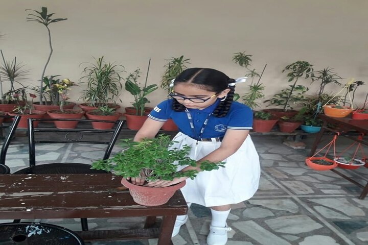Bhupindra Global School-Plantation