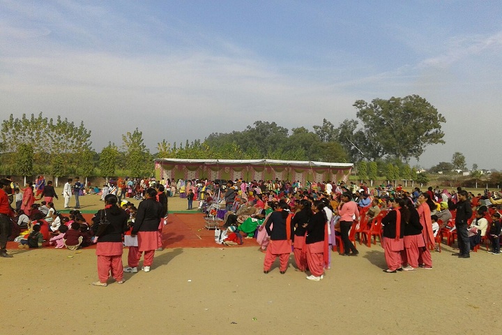 Bibi Satwant Kaur Public School-Others programme