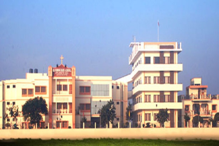 Blooming Buds School-Campus-View