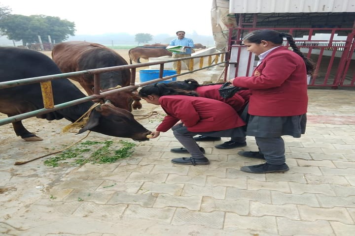Brahmrishi Mission School-Field Trip