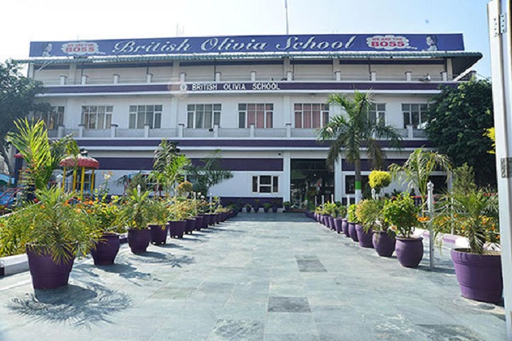 British Olivia School-School View