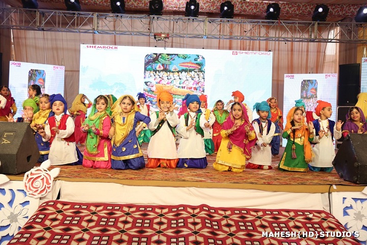 Budha Dal Public School-Annual day