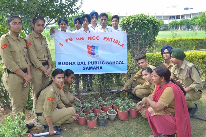 Budha Dal Public School-NCC