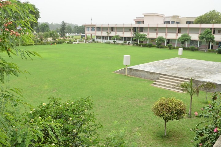 Budha Dal Public School-Playground