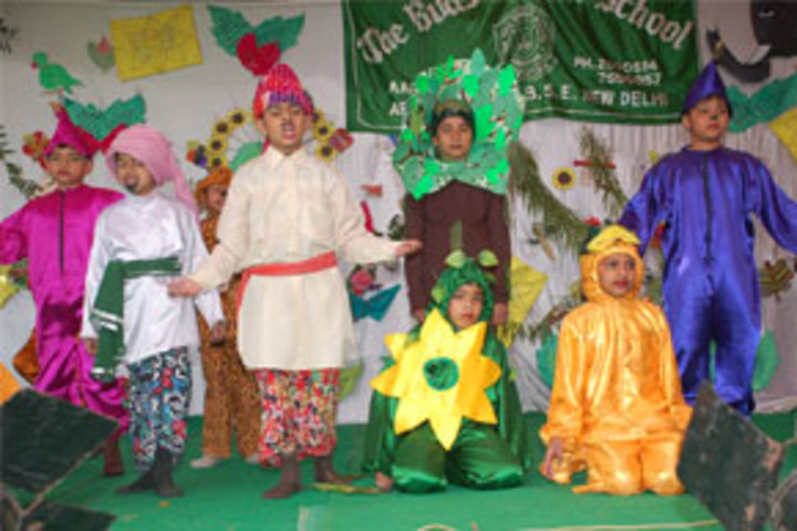 Buds Senior School-Fancy Dress