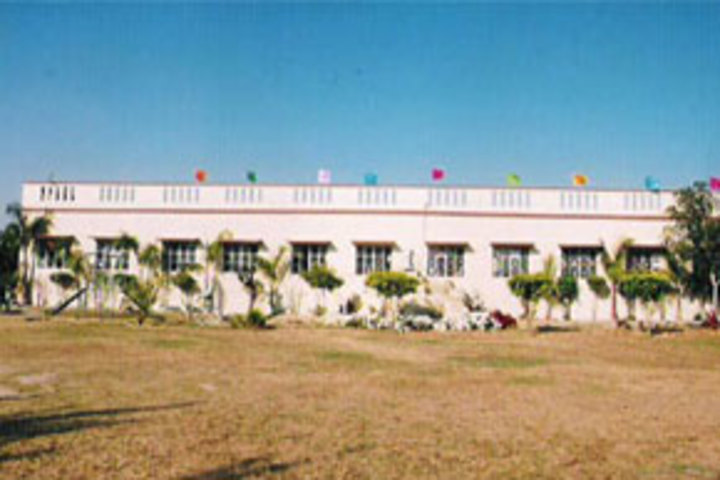 Buds Senior School-Play Ground