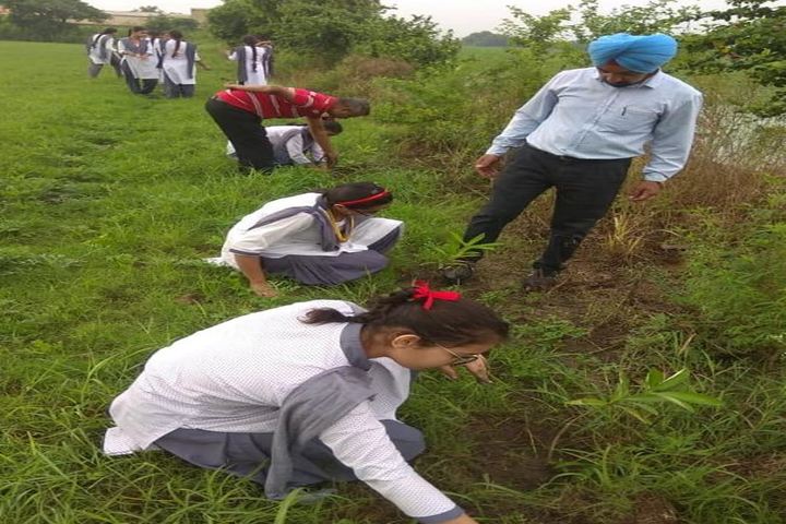 C.S. International School-Plantation