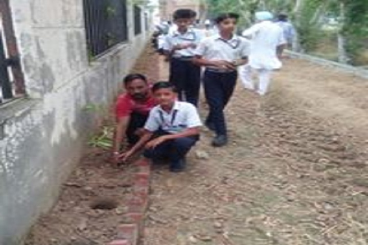 Cambridge Global School-World Earth Day