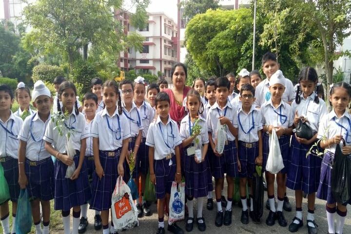 Cambridge International School-Tree Plant