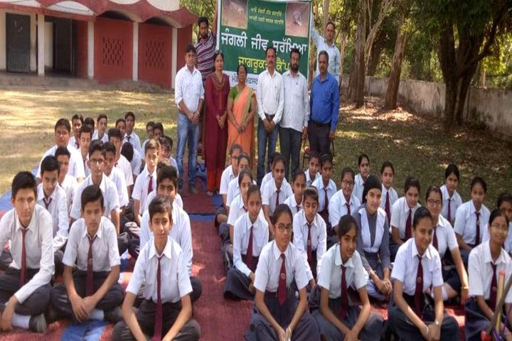 Capt Amol Kalia Fertilizer Model Senior Secondary School-Activity