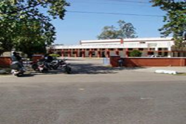 Capt Amol Kalia Fertilizer Model Senior Secondary School-Campus View