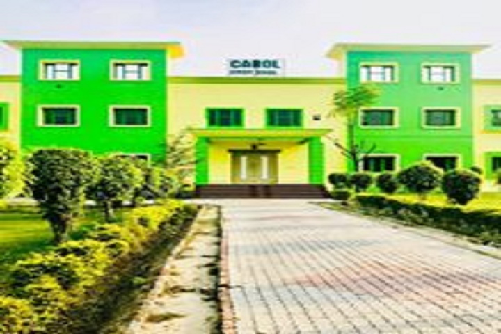 Carol Convent School-Campus View