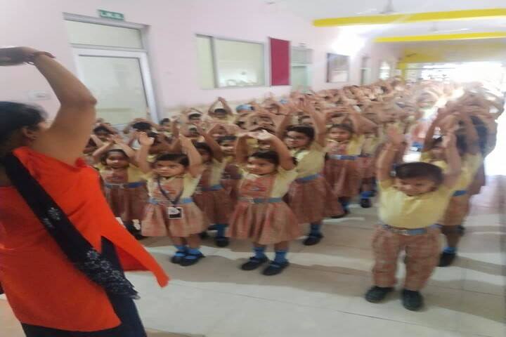 Comfy International Convent School-Exercise