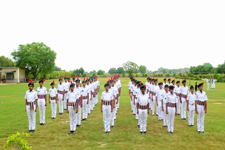 D A V Public School-Scoutt And Guide