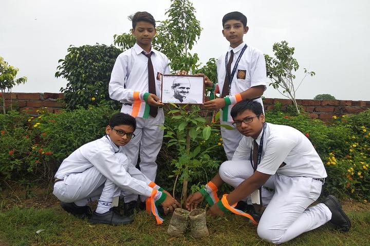 D A V Public School-Tree Plantation