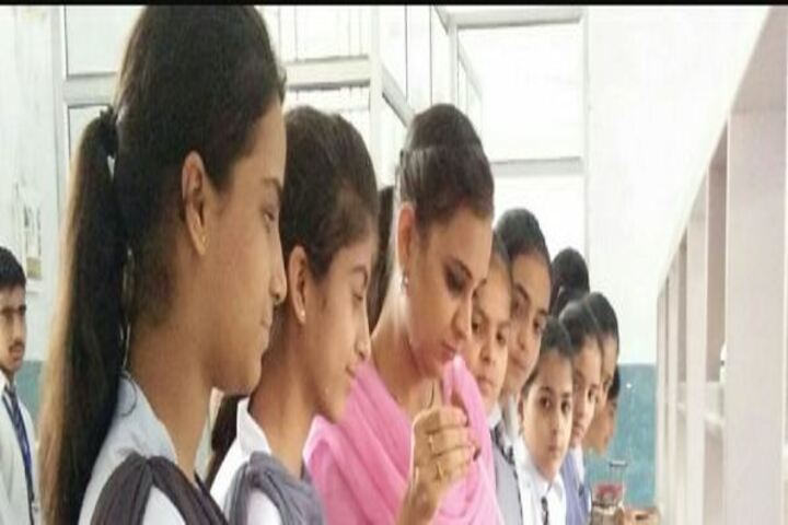 D A V Model Senior Secondary School-Lab