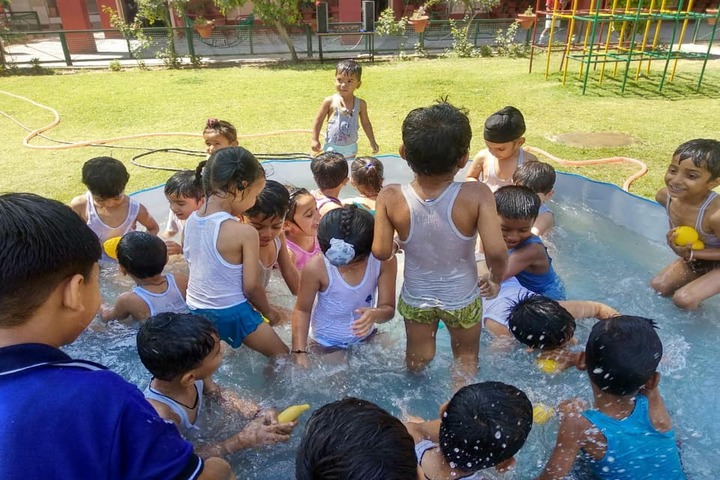 D A V Model Senior Secondary School-Pool Activity