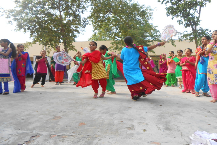D V M Public School-Dance