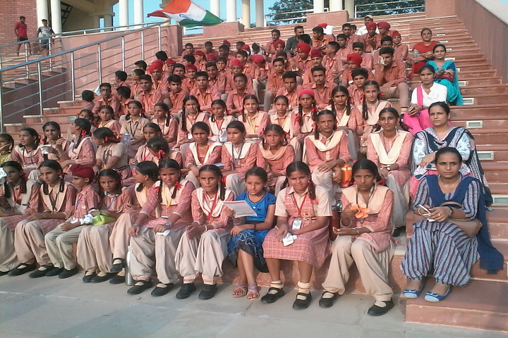 D V M Public School-Students