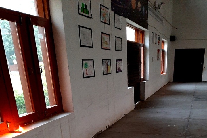 D V M Public School-Art Exhibition