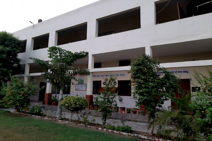 D V M Public School-Building