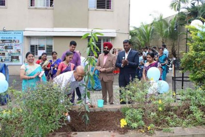 Darshan Academy-Tree Plant