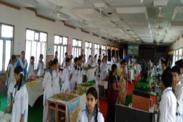 Dasmesh Public School-Social EXhibition
