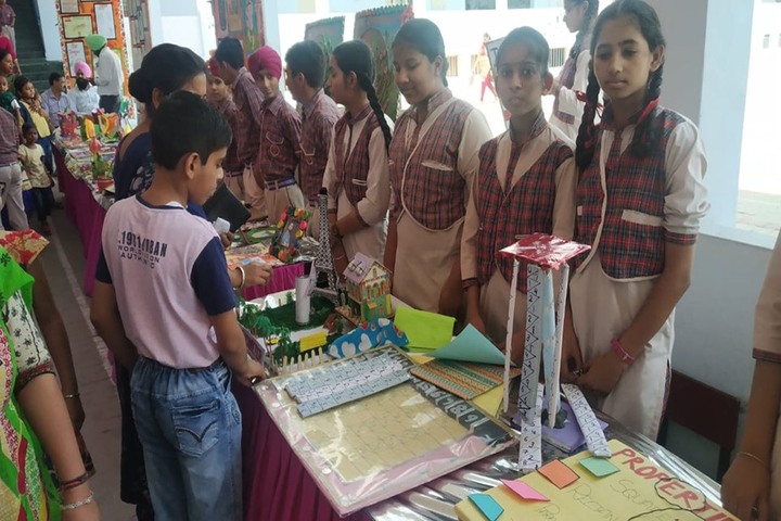 DAV Senior Secondary Public School-Exhibition