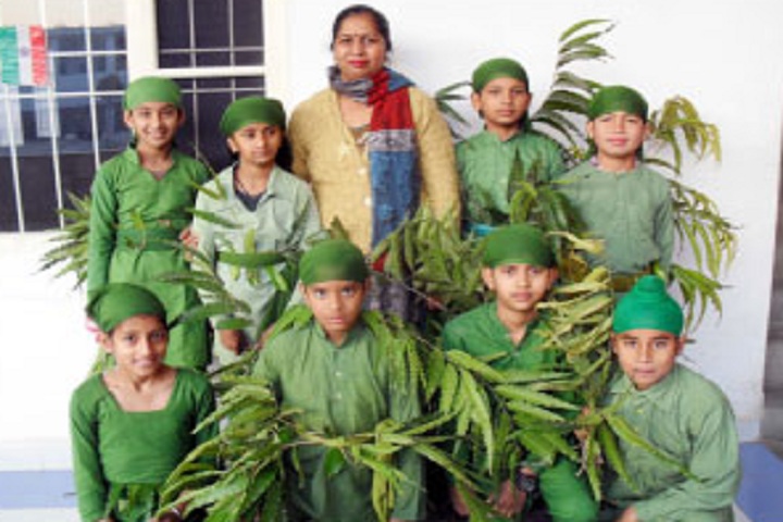 DAV Senior Secondary Public School-Activities